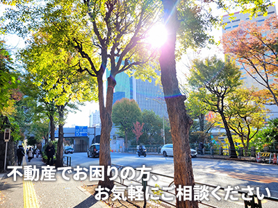 有限会社ミューリア