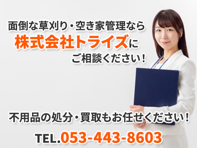 株式会社トライズ